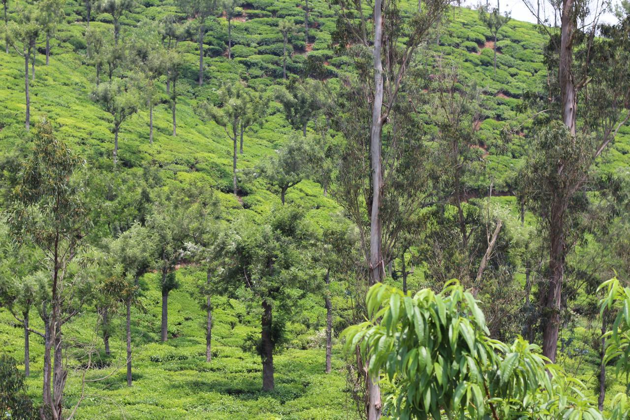 Rustling River Resort Ooty Exteriér fotografie