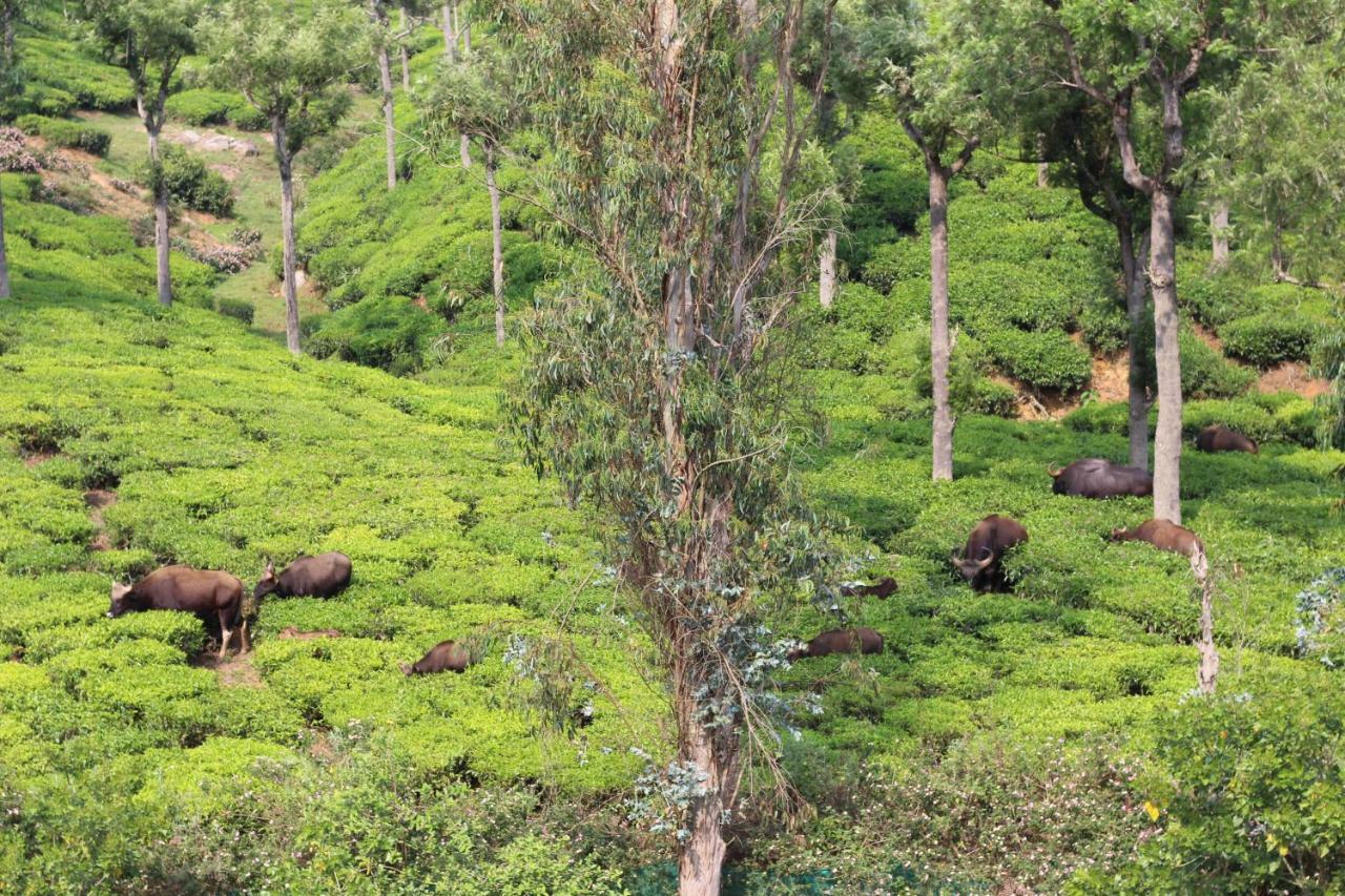 Rustling River Resort Ooty Exteriér fotografie